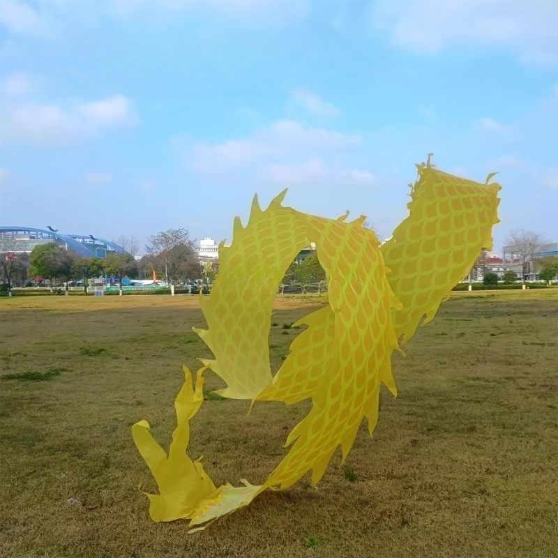 8Meter 3D Dragon Head Fitness  - Outdoor Sport Gym ulasan dan harga
